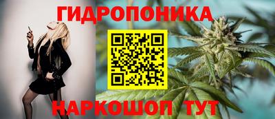 СК Ликино-Дулёво
