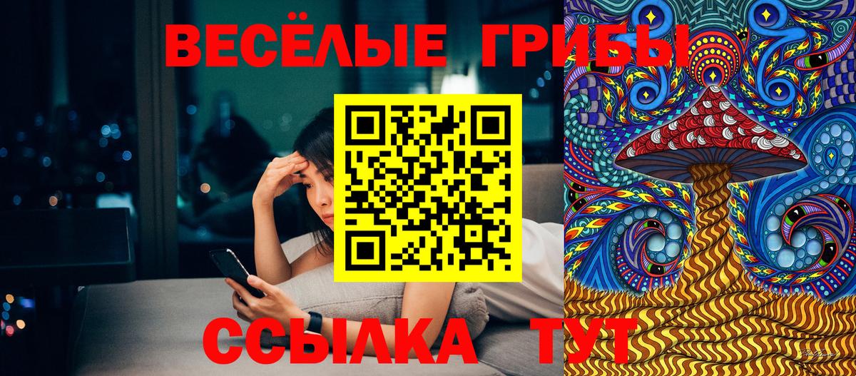 Галлюциногенные грибы Psilocybe Ялта